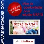 descubriendo los diversos tipos de becas que existen guia completa